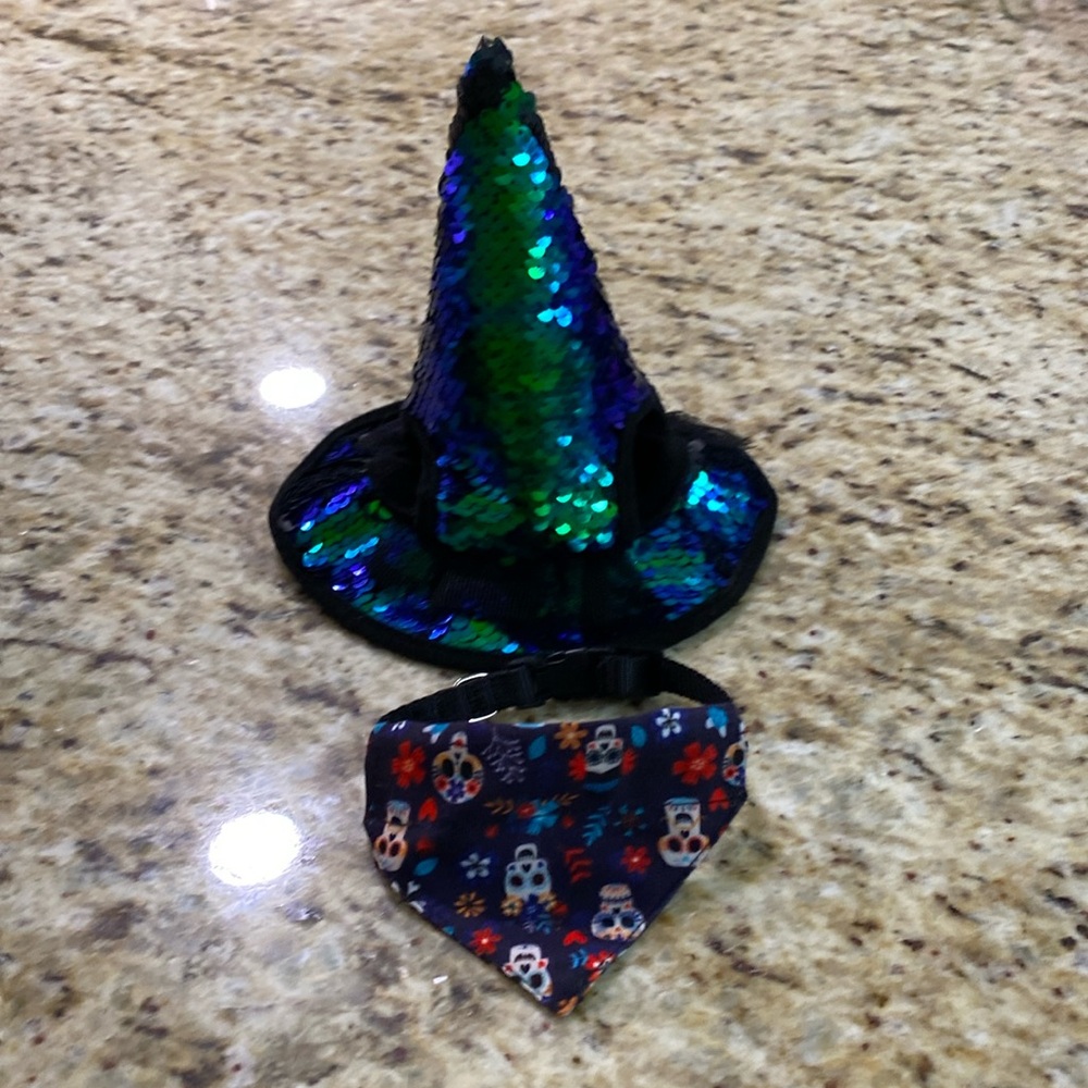 Cat 2 Pc  Halloween Costume Dress Up Witch Hat with Skull Bandana Collar